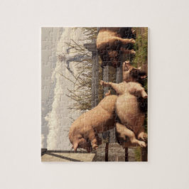 Betrunkene Schweine Puzzle