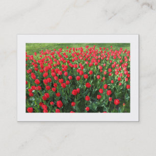 Bett von Roten Tulips 01 (besetzt) Visitenkarte