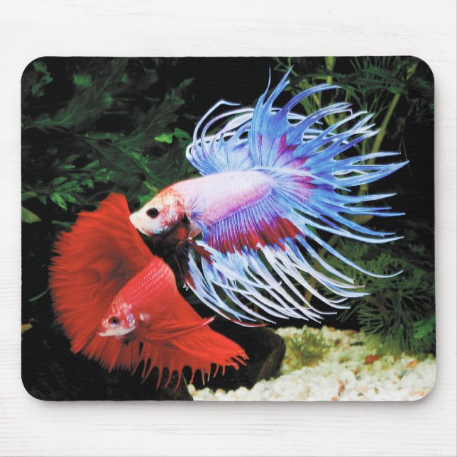 Bettaのマウスパッド,No.09 Mousepad (Vorne)