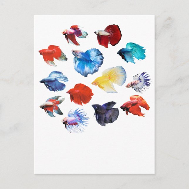 Betta 2 postkarte (Vorderseite)