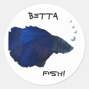Betta Fisch-Aufkleber Runder Aufkleber