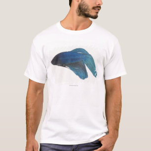 Betta Fische oder männliche blaue siamesische T-Shirt
