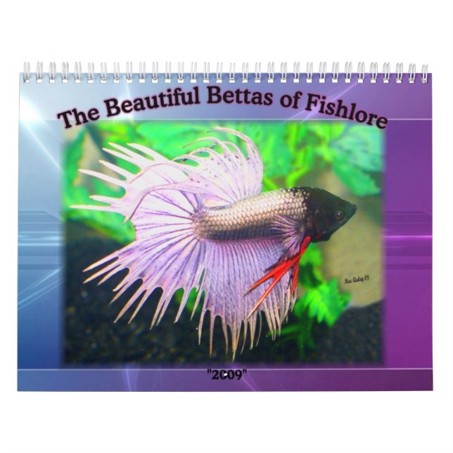 Betta Fischkalender 2009 Kalender (Titelbild)