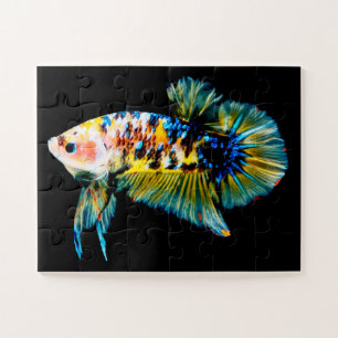 Betta Fish Blue & Gold Puzzle