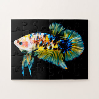 Betta Fish Blue & Gold Puzzle