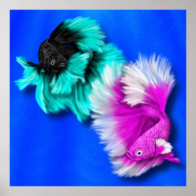 Betta Fish Duo, schwarz & aquamarin, weiß und rosa Poster (Vorne)