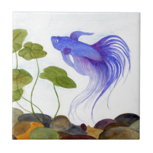 Betta Fish Fliese