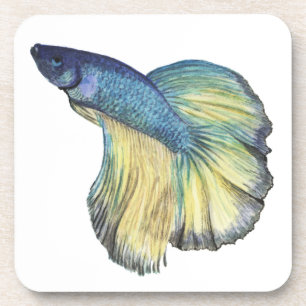 Betta Fish Getränkeuntersetzer