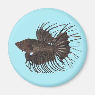 Betta Fish Magnet