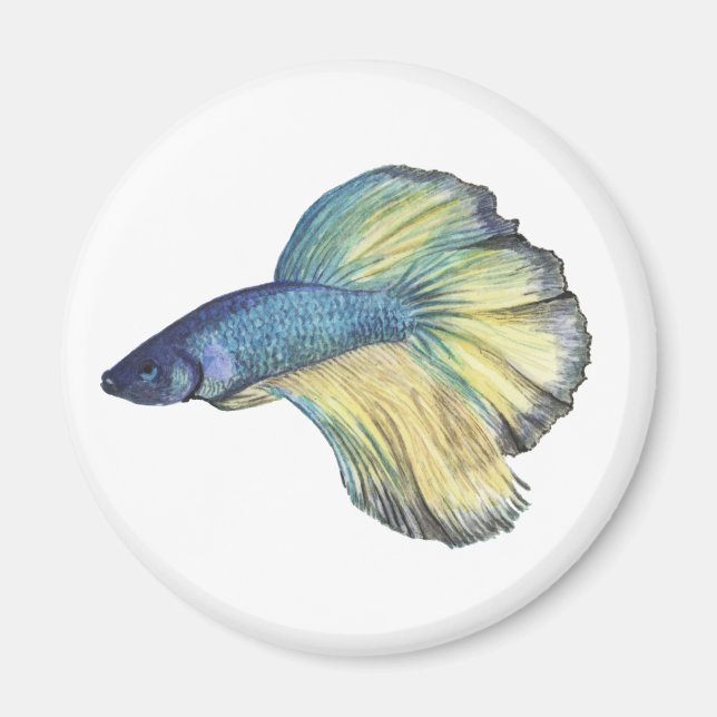 Betta Fish Magnet (Vorne)