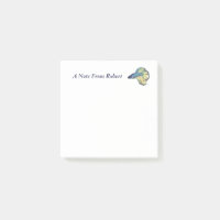 Betta Fish