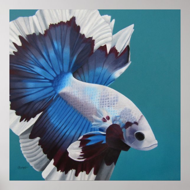 Betta Fish Poster (Vorne)