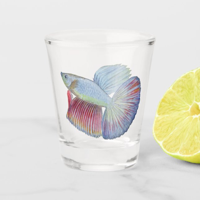 Betta Fish Shot Glass Schnapsglas (Vorderseite)