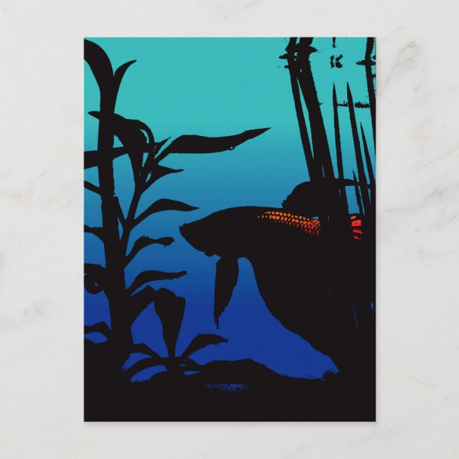 Betta glaubt es postkarte (Vorderseite)