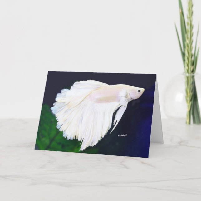 Betta-Grußkarte Karte (Vorderseite)