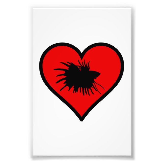 Betta Heart Liebe Fisch Silhouette Fotodruck (Vorne)