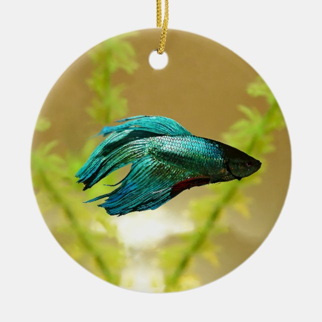 Betta ist besser ursprünglich keramik ornament (Vorne)
