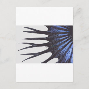 Betta-Kronenschwanz Postkarte
