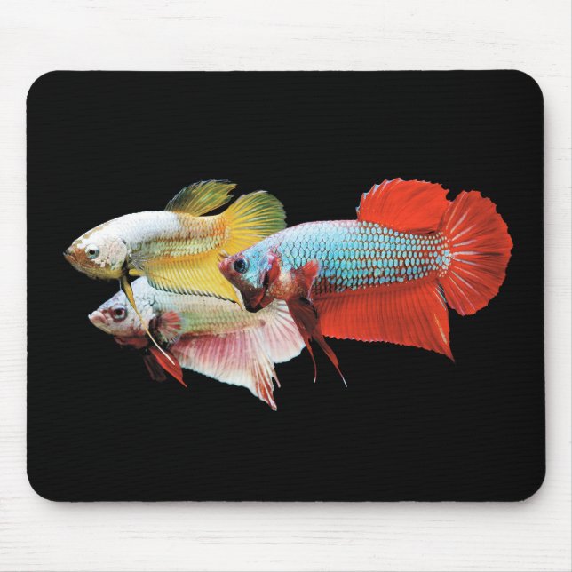 Betta Mousepad (Vorne)