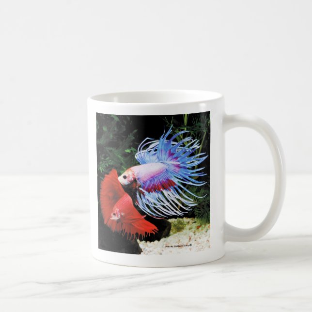 Betta Tasse (Rechts)