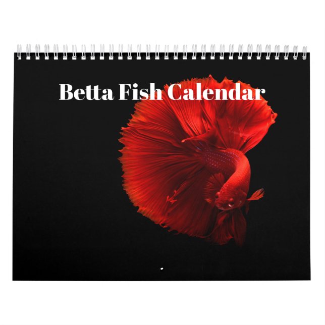 Bettafish Kalender (Titelbild)