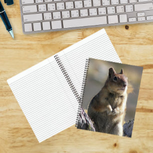 Bettelndes Erdhörnchen Naturfoto Notizbuch