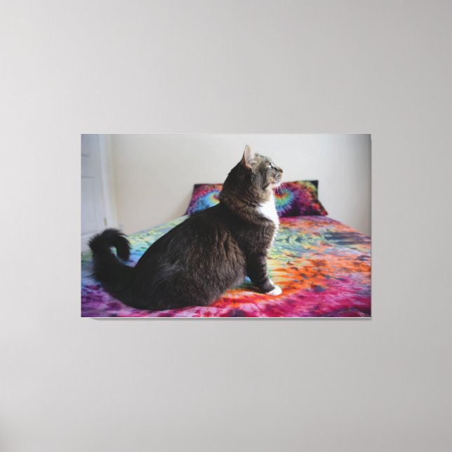 Bettkatze Stretched Canvas Print Leinwanddruck (Vorderseite)