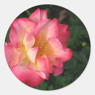 Betty Boop - 139 24. Mai 2009 Runder Aufkleber