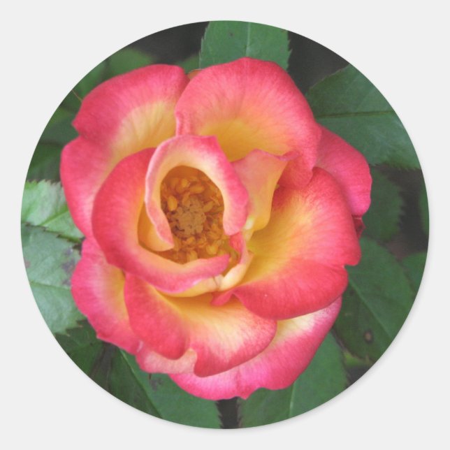 Betty Boop 140 Runder Aufkleber (Vorderseite)