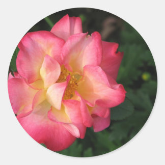 Betty Boop - 24. Mai 2009 139 Runder Aufkleber