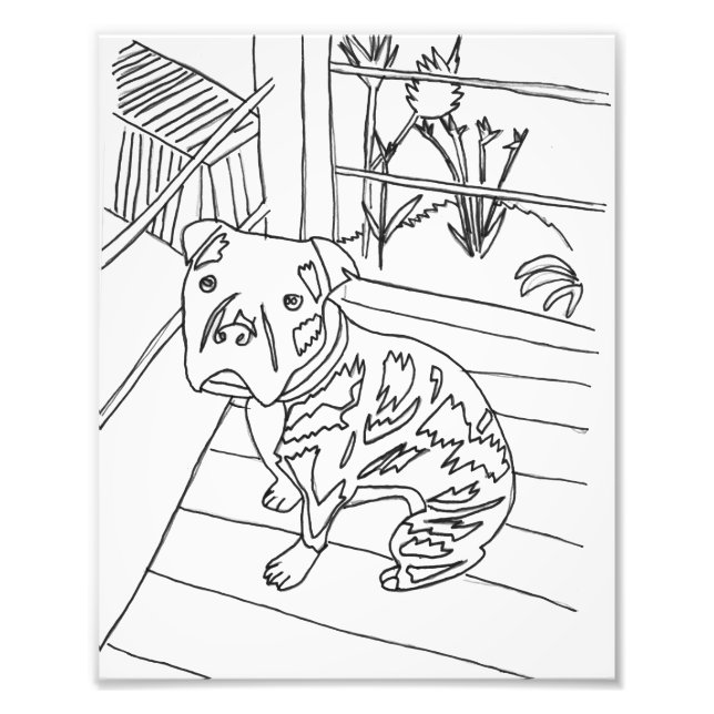 Bev the Pup Print Fotodruck (Vorne)