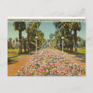 Beverly Hills Blumen Postkarte