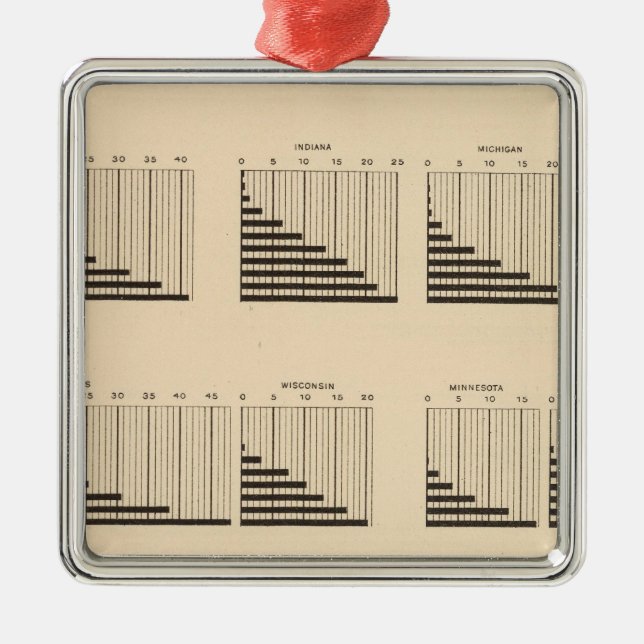 Bevölkerung 19 jeder Staat Silbernes Ornament (Vorne)