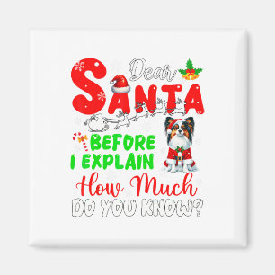 Bevor ich erkläre, wie viel Sie wissen Xmas Papill Magnet