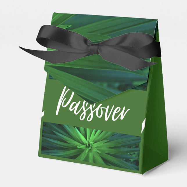 Bevorzugtes Packen Party Box Pessach Festival Geschenkschachtel (Vorderseite)