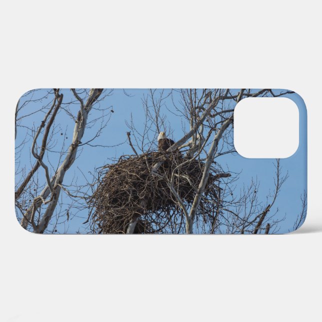 Bewachung von Eagle iPhone Case (Rückseite (Horizontal))