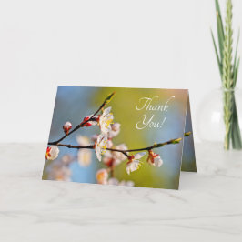 Bewährte japanische Aprikose-Blume Dankeskarte