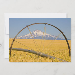 Bewässerungsleitung vor Ort