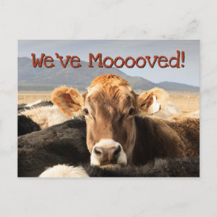 Bewegen Ankündigungspostkarte