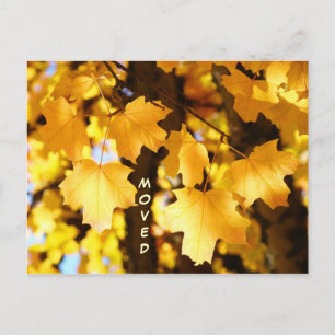 Bewegter Postkartengewohnheit beweglicher neuer Ankündigungspostkarte