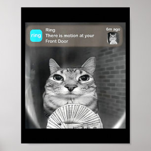 Bewegung an der Haustür lustige Katze Meme Kamer Poster