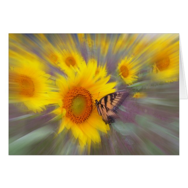 Bewegung, KARTE (Vorderseite (Horizontal))