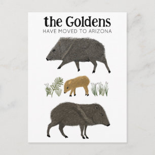 BEWEGUNGSANKÜNDIGUNG Javelina Familienwüste Arizon Postkarte
