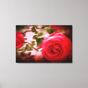 BEWEGUNGSFARBE von Stammrosen auf Leinwanddruck