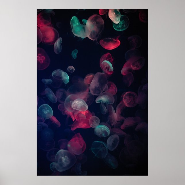 BEWERTETE FARBE JELLYFISH-MALERIERUNG POSTER (Vorne)