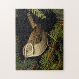 Bewick’s wren on fir branches puzzle