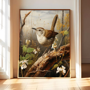 Bewick-Zaunkönig-Kunstposter, Vintage-Vogel-Wandde Poster