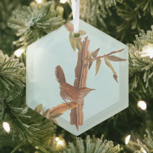 Bewicks langschwänzender Wren Audubon Solitary Bir Ornament Aus Glas