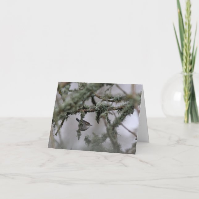 Bewick's Wren and moss Blank Note Card Karte (Vorderseite)