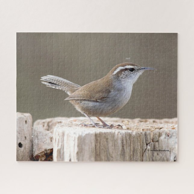 Bewick's Wren Songbird auf Treestump Puzzle (Horizontal)